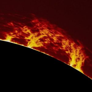 FB_IMG_1751479260998