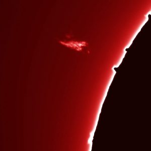 FB_IMG_1759057346974