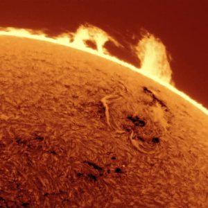 FB_IMG_1768132481864