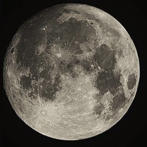 FB_IMG_1768132499360