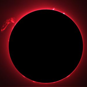 TOTAL SUN MASK 20.08.25